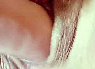 watching my sister-in-law orgasm on thick dildo then i grab it for my swollen pussy too
