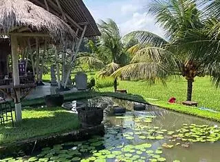 i walk public cafe cumfaced eating sperm pasta 😋💦