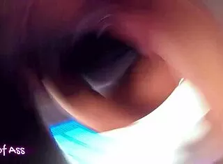 wanna see my forbidden fishnets seduction with curvy fat ass reveal?