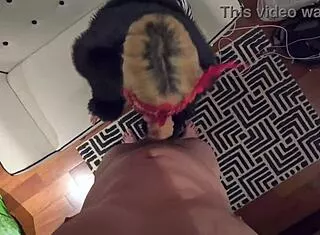Elenaxxx's Couch Blowjob And Bed Missionary POV Interracial Fuck
