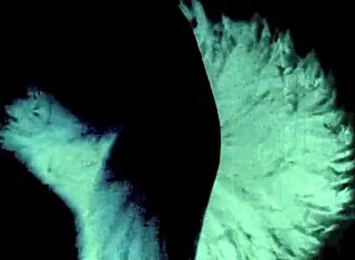 Vintage Hairy Pussy Nudes Pose in Nature Outdoors