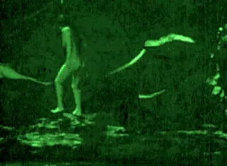 Vintage Hairy Pussy Nudes Pose in Nature Outdoors