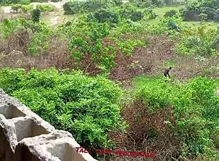 homeless girl takes on two street boys full pounding finale