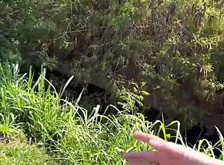 i asked the highway hooker her price and she dragged me into the woods for free raw pounding