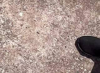 i asked the highway hooker her price and she dragged me into the woods for free raw pounding