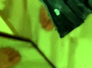 guarda come ti sborro in faccia e ti faccio bere tutto con sega cazzo enorme