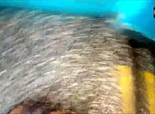 Prostitute Rides Cock Wild Begs Cum Quick Cash Fuck