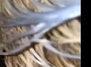 milf suegra squirts hard from huge cock in girlfriend's house