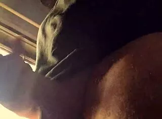 bad wolf28 showers in endless cock rain orgy