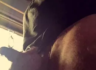 bad wolf28 showers in endless cock rain orgy