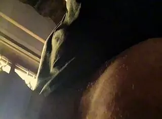 bad wolf28 showers in endless cock rain orgy