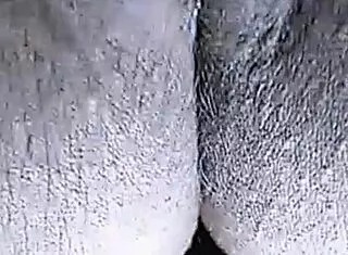 Desi auntie flaunts juicy pussy in steamy homemade compilation