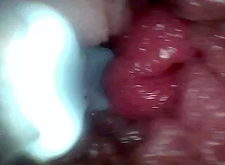 Extreme Close-Up Bbw Slave's Swollen Pussy Lips Creampie Filled