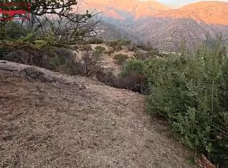 trailer traded for hot cowgirl ride and creampie fuck