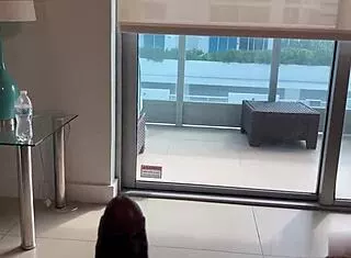 White Sluts Suck Monster Black Cocks Interracially