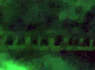Hidden Cam Catches Young Sexy Ass Shaking