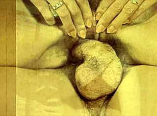 vintage hairy bisexual girls lick pussies in steamy threesome fun