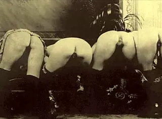 Two Centuries of Vintage Lesbians Licking Hairy Beavers