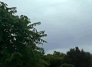 Heart racing watching neighbors' pool orgy lick pussy missionary!