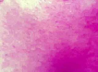 Whore housewife ass filled with group cum after ripped lingerie bang
