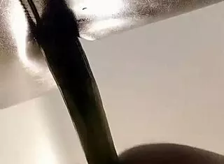 Shemale in pantyhose teases with solo dildo ass play