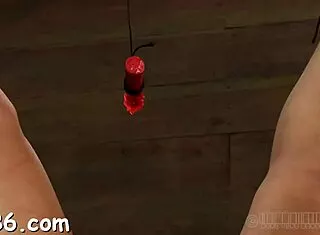 i love bound doggystyle pussy pounding sadomasochism