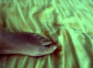 i tell stepsons friend pull out yer cock n jerk it while i flash my big tits n pussy