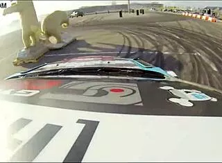 bikini babes ride hard with ken block in nagoya boobkhana part 1