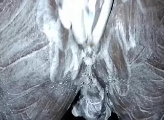 african dude slathers lotion over monster black cock and fat ass solo in bedroom stroking hard