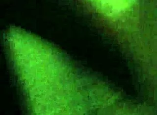 rhonnie punishes foreign pussy with monster bbc