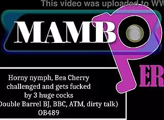 bea cherry's nympho challenge three huge cocks dap bbc