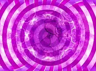 Ghosting sissy instructions teaser video