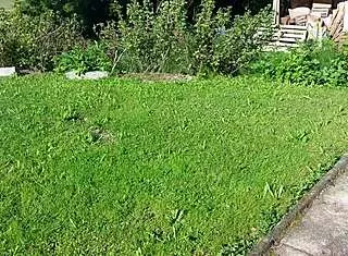 Granny is working naked in her garden today