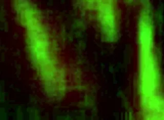 close up soft intimate relationships captured very closely in scene one