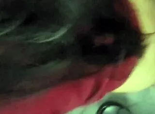 la colegiala mexicana se la coge en el baño