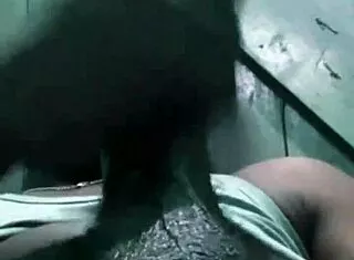 bbc hide and jerk off in public