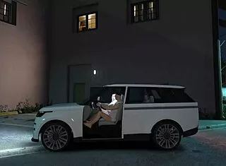 gta 5 hooker service in car