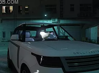 gta 5 hooker service in car
