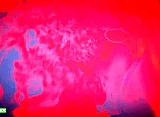 lucky gurl kween bunny b gives red light pov