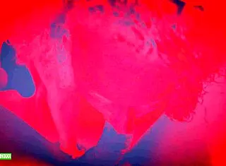 lucky gurl kween bunny b gives red light pov