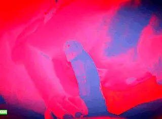 lucky gurl kween bunny b gives red light pov