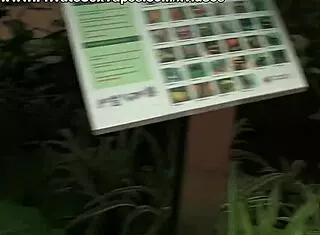 amateur brunette masturbates before blowjob in private reality scene