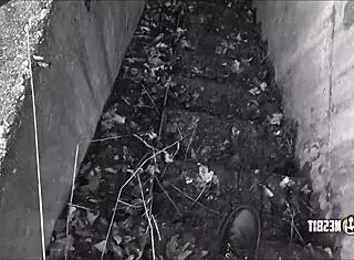 LOU NESBIT BRUTALLY PEGS LIA LOUISE