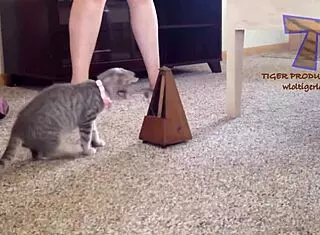 Young Girl Reveals Hairy Beaver In Funny Comic Scene