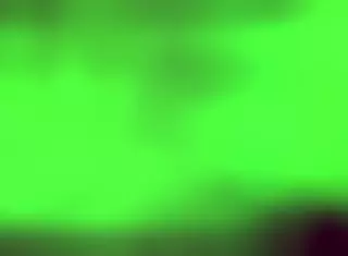 Top oral performance in lingerie