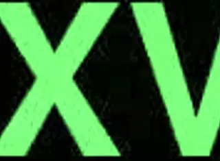 Top oral performance in lingerie