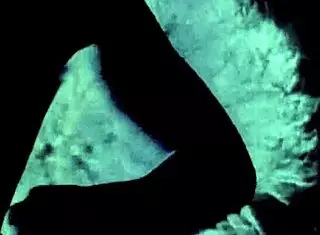 Vintage Lesbians Explore Hairy Pussies Retro Style.