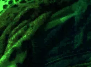 Hardcore public outdoor masturbation