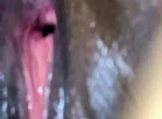 fucking my ex bitch hard