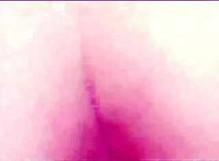 I feel obsessed watching the stalker next door every single day